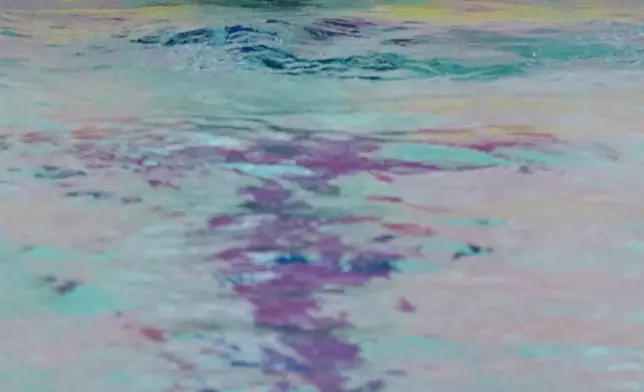 香港泳手何詩蓓在十五運會女子200米自由泳決賽，奪得冠軍 。新華社圖片