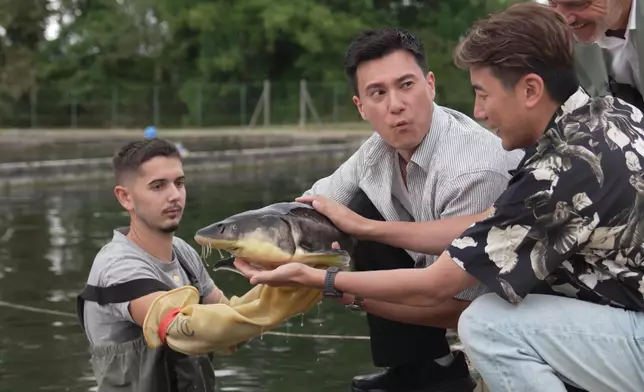 朱敏瀚勁大膽直情攬住鱘魚。