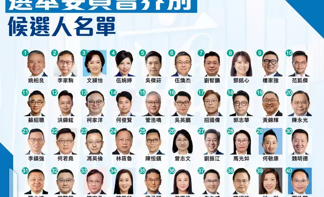 選舉委員會界別候選人。