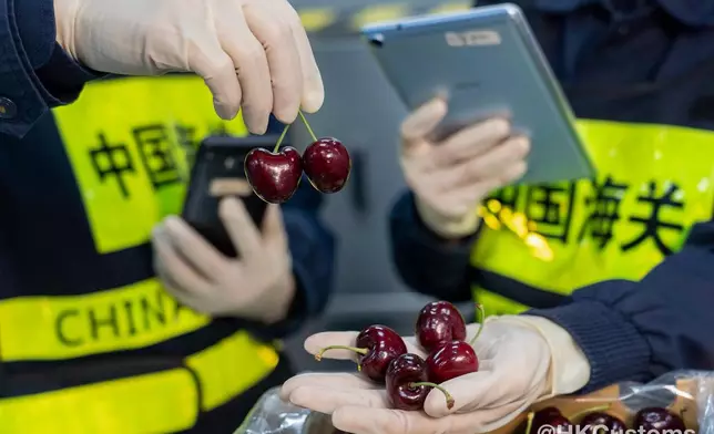 香港海關FB圖片