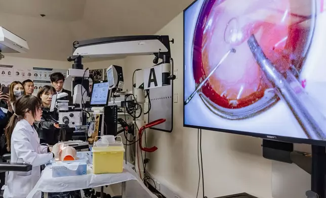 青年眼科醫生嚴卓苓即場示範模擬白內障去除手術操作。