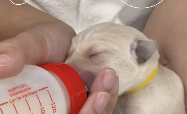 飲奶表情萌爆。海關FB影片截圖