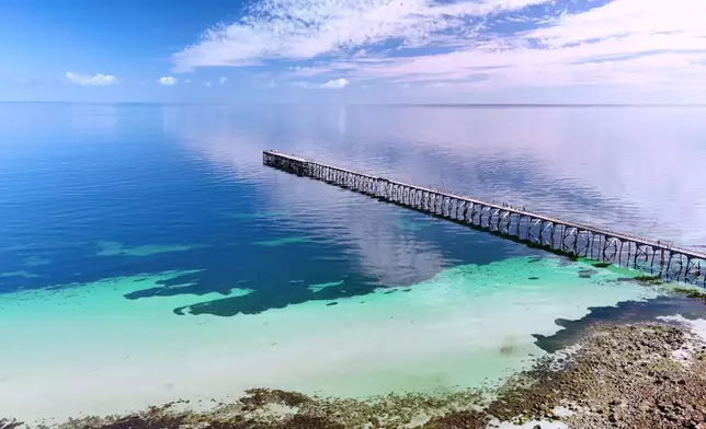 阿姐體驗釣蟹時，好似小朋友咁開心。