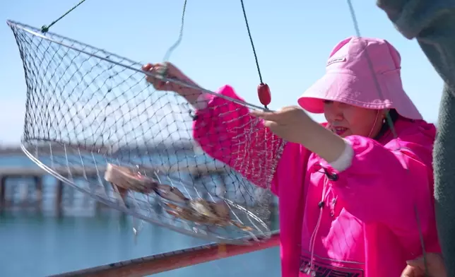 阿姐體驗釣蟹時，好似小朋友咁開心。