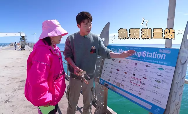 阿姐體驗釣蟹時，好似小朋友咁開心。