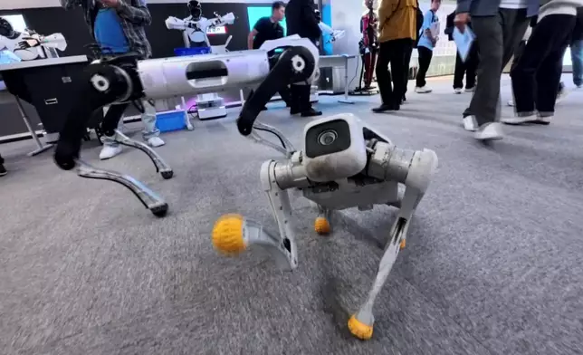 陳貝兒：「佢係可以做到機械狗做到又情緒又坐喺度撩你。」