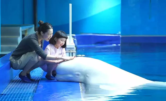 lucy.is.good IG圖片