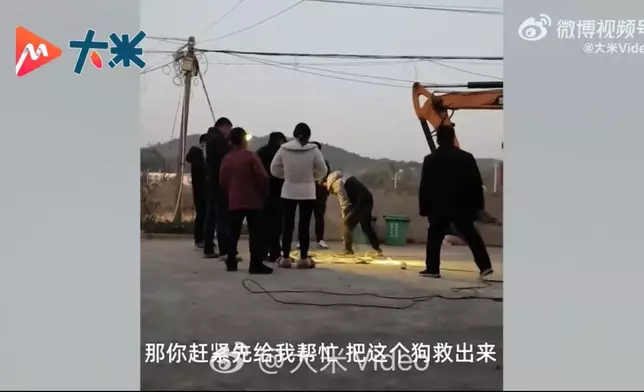 狗狗鑽下水道受困逾20小時獲數名熱心村民動用挖掘機救出。影片截圖