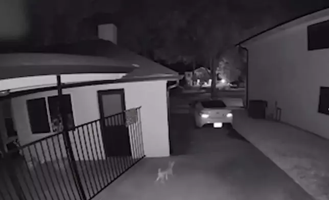 女子返家發現待救援狗狗終暖心收編。影片截圖