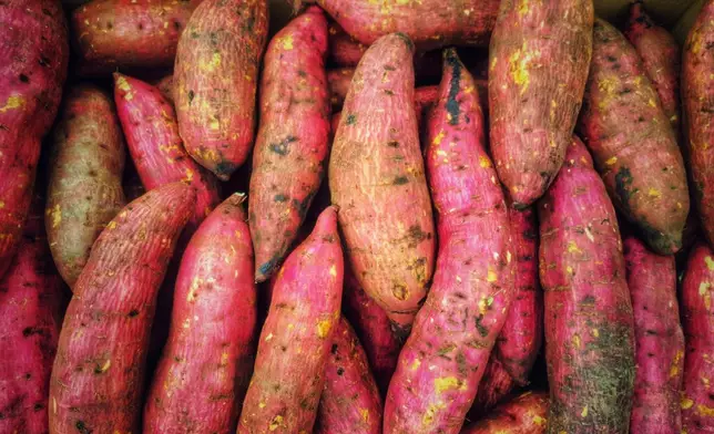 番薯發芽後甜度及風味下降，纖維感增加。資料圖片