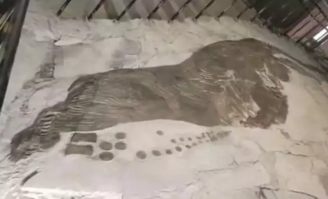 侏羅紀恐龍足跡化石揭示了早期獸腳類行為之謎。影片截圖