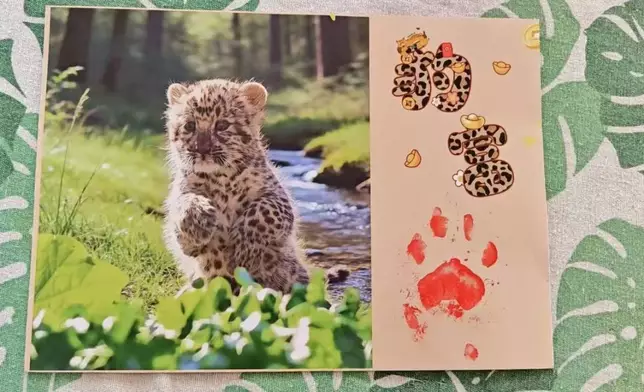 動物園推新生動物寶寶日曆，金錢豹BB被迫「打工」蓋爪印送祝福露無奈表情。影片截圖