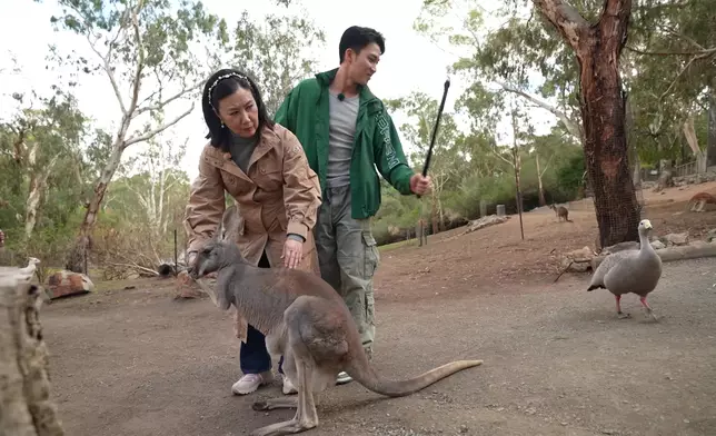 明晚一集，二人去到動物園。