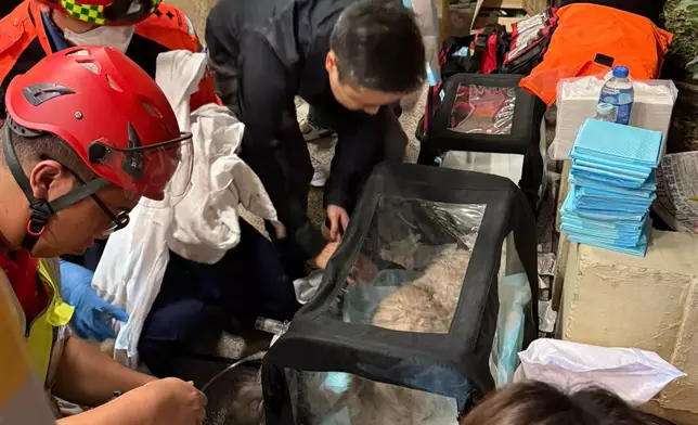 愛護動物協會FB