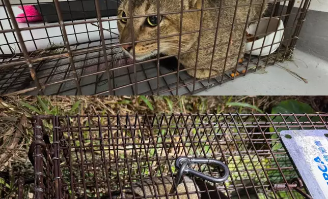 愛護動物協會FB