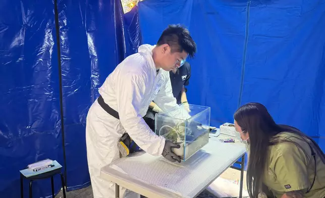 火場內找到的寵物魚。