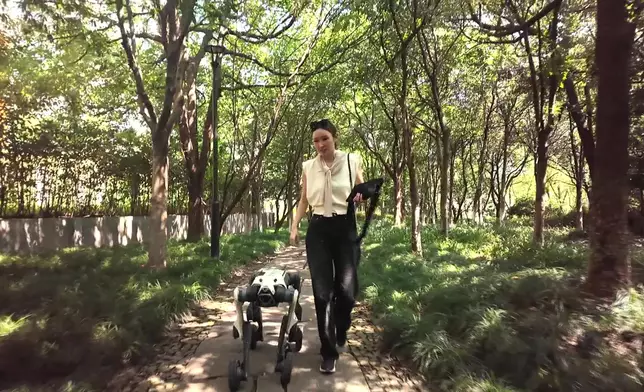 Janis更把四足機器人帶到公園遛狗，發揮到它導航功能。
