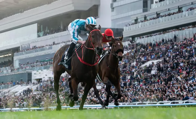 世界王者「浪漫勇士」(左)擊敗海外賽駒「寶徠歌劇」，連續四年攻下一級賽浪琴香港盃，締創歷史，並同時把其累積獎金增至二億四千萬港元，繼續成為全球贏得最多獎金的賽駒。香港賽馬會圖片