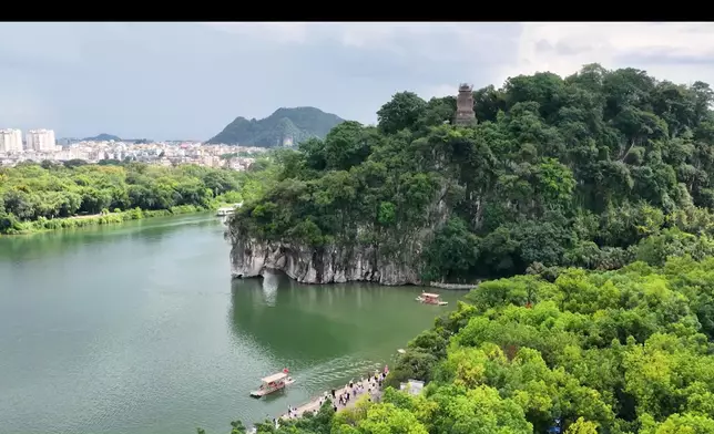 何廣沛、林正峰率先帶「皇太后」家燕姐遊象鼻山