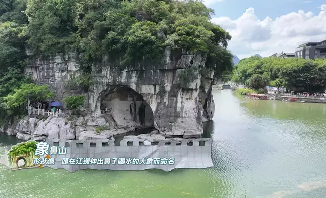 何廣沛、林正峰率先帶「皇太后」家燕姐遊象鼻山