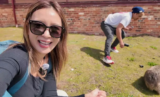 又係澳洲本土動物-「袋熊」。