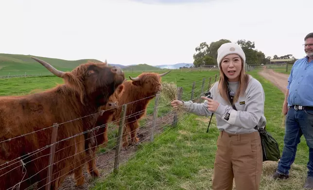 Christy今次嘅旅程其中一站住喺獲獎農莊入面嘅酒店。