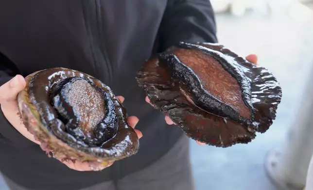 呢個超新鮮船河海鮮宴超正。