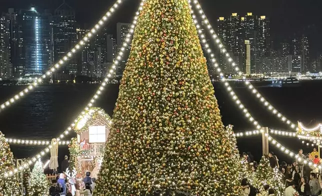 「西九聖誕小鎮」超過12米高的聖誕樹。