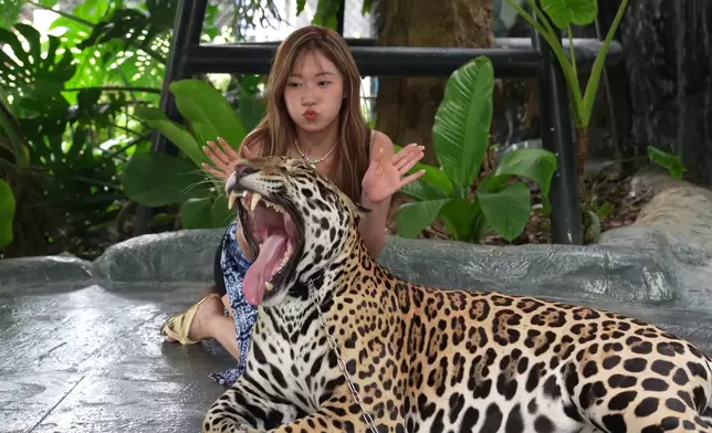 Roger跟波波與園內動物零距離接觸。