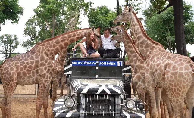 長頸鹿將波波當成紅蘿蔔。