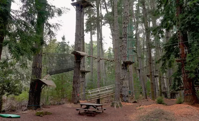 愛刺激的Christy在霍利班克森林玩Zip line，大自然味濃郁。