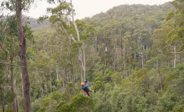 愛刺激的Christy在霍利班克森林玩Zip line，大自然味濃郁。