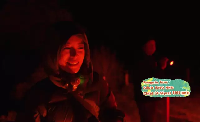 夜晚Christy更到Bicheno小鎮看藍企鵝，還遇上企鵝BB，十分Cutie。