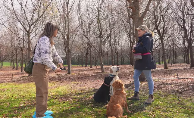 Christy去到松露餐廳。