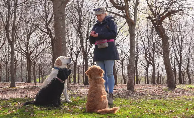 Christy去到松露餐廳。