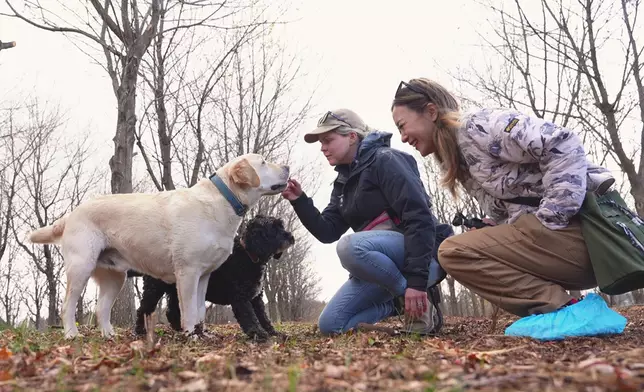 Christy去到松露餐廳。