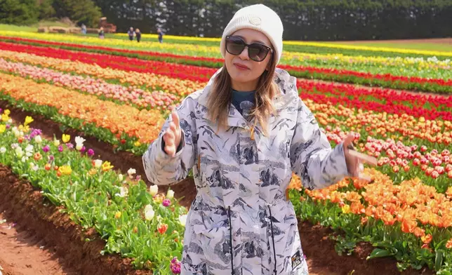 前往鬱金香園，花海打卡超治癒。