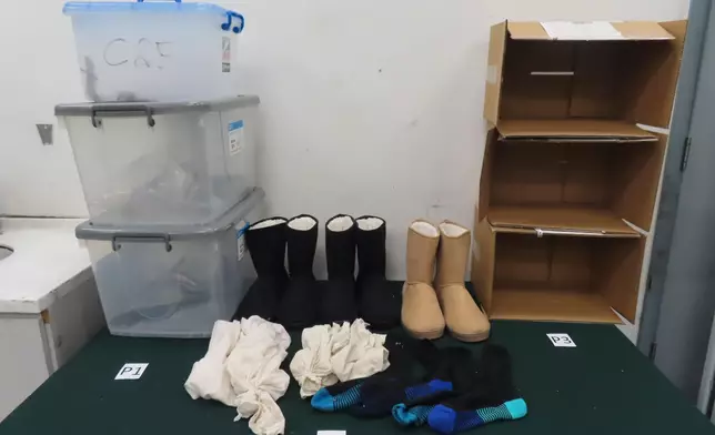 ​香港海關檢獲懷疑受管制屬瀕危物種活蜥蜴。政府新聞處圖片