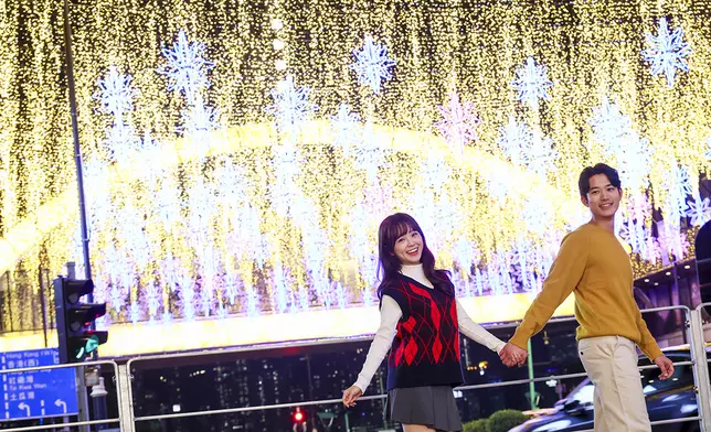 麼地里燈海以許願星光長廊為設計概念，匠心打造出一條由逾二十萬顆垂珠交織而成的星海(1)