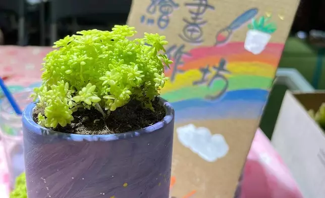 手繪花花小盆栽工作坊