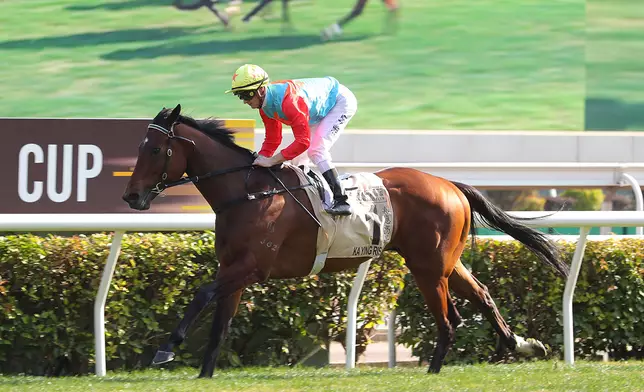 「嘉應高昇」於去年1月19日在百週年紀念短途盃中，刷新了1200米沙田場地紀錄時間，榮封全球最佳短途賽駒實至名歸。馬會提供圖片