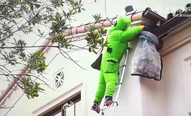 男子6年來清除逾千個蜂巢獲封「追蜂俠」。影片截圖