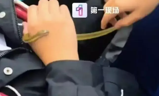 女學生在地鐵車廂內忘我把玩寵物蛇。影片截圖