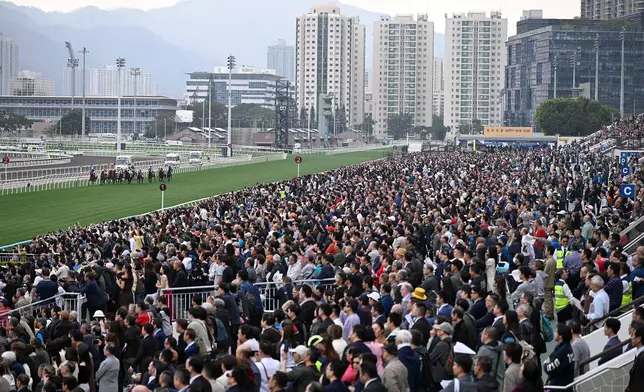 元旦賽馬日在沙田馬場舉行。香港賽馬會圖片