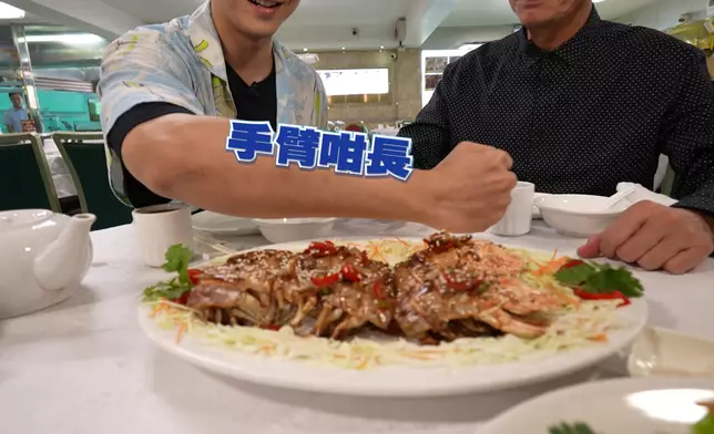 瀨尿蝦長度堪比手臂般長。