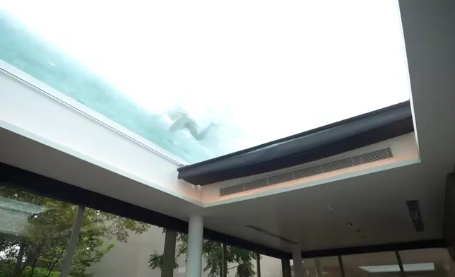 Roger坐在大堂可一覽無遺波波的泳姿。