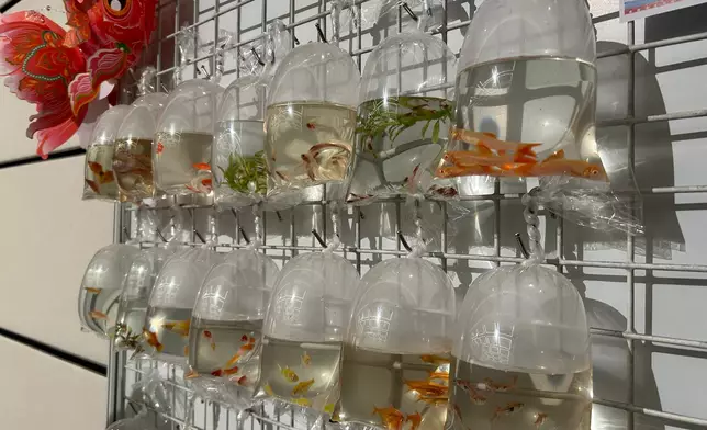 「懷舊金魚街」打卡點。巴士的報記者攝