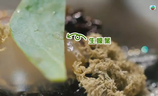 呢個素食Fine Dining真係好有特色。