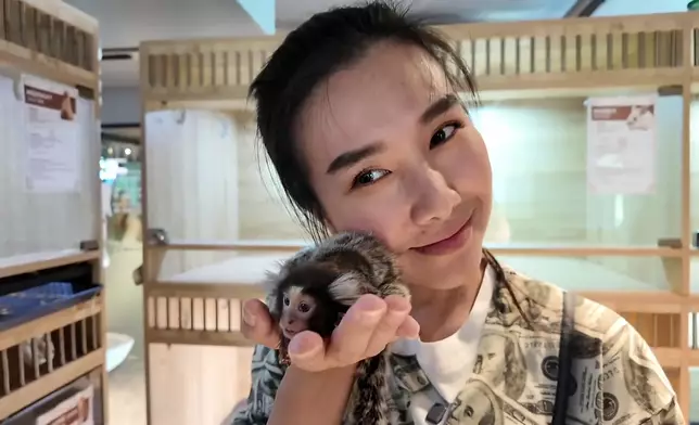 冬蔭妹登場介紹動物園咖啡店。