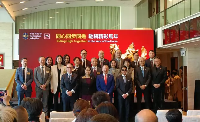 「馬到功成耀香江」的馬年煙花匯演。巴士的報記者攝